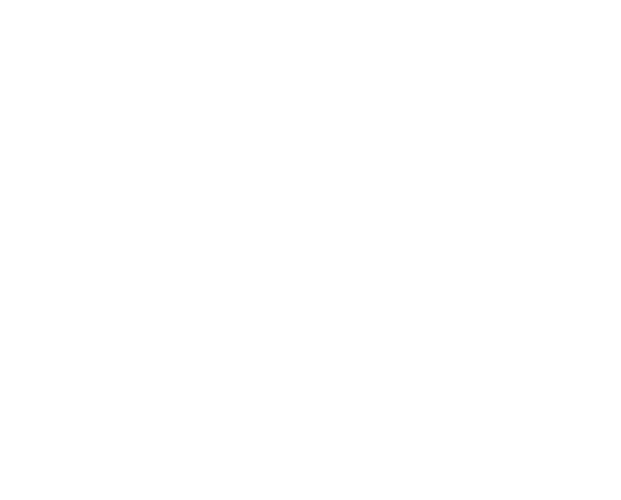 animation Service page